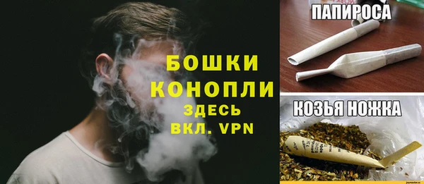 СК Вязьма