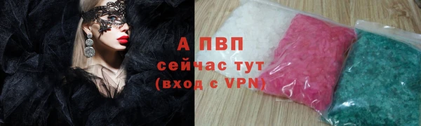 СК Вязьма