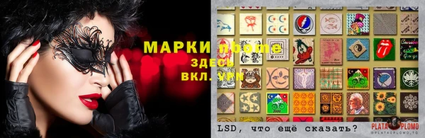 мдпв Володарск